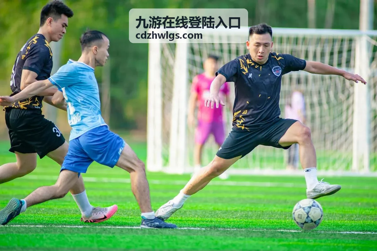 九游在线登陆入口的页面使用示意